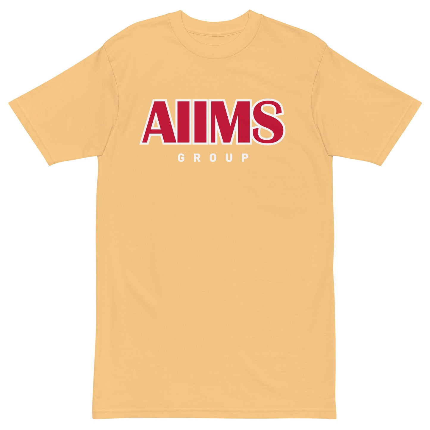 AIIMS Custom Premium Heavyweight Tee